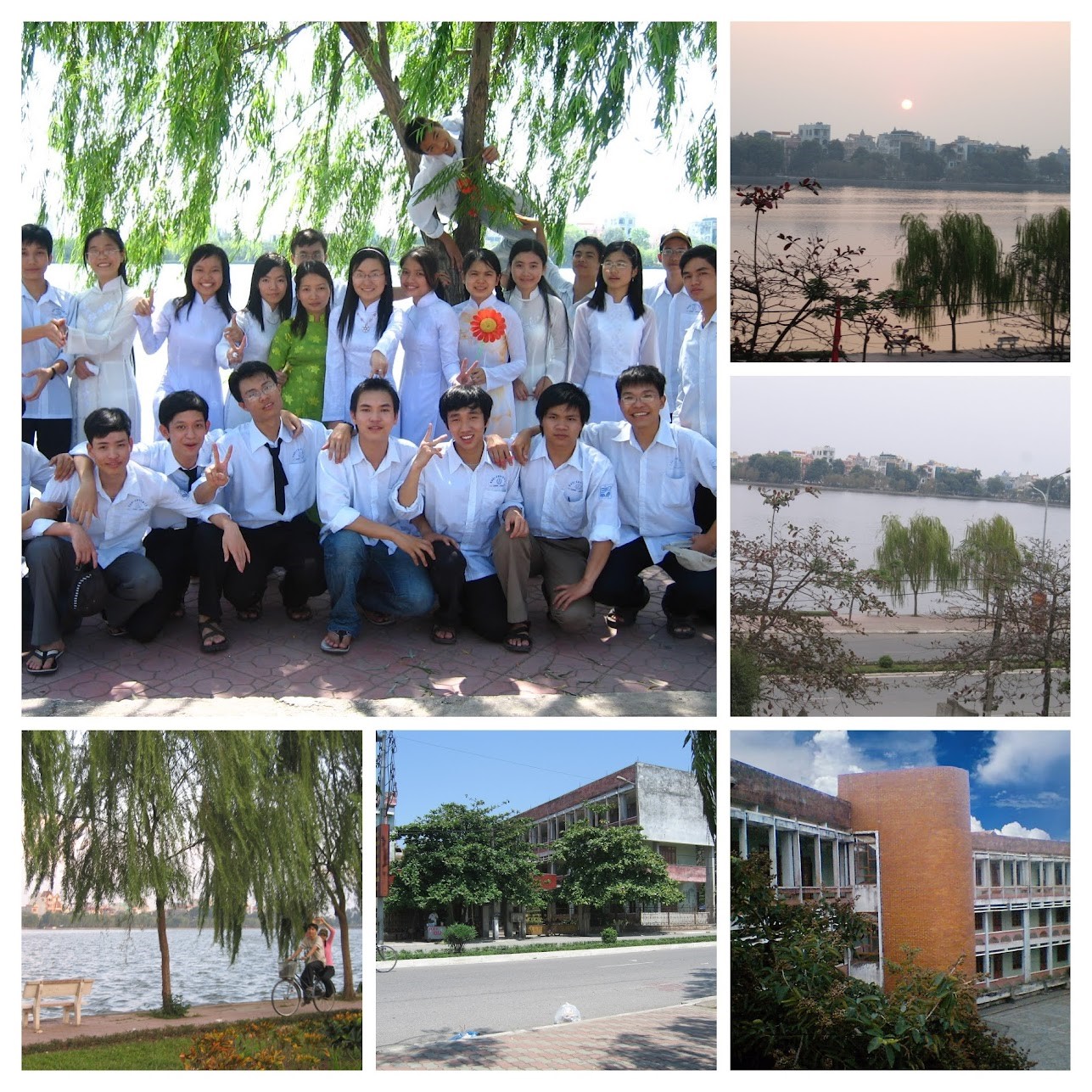 ANH29